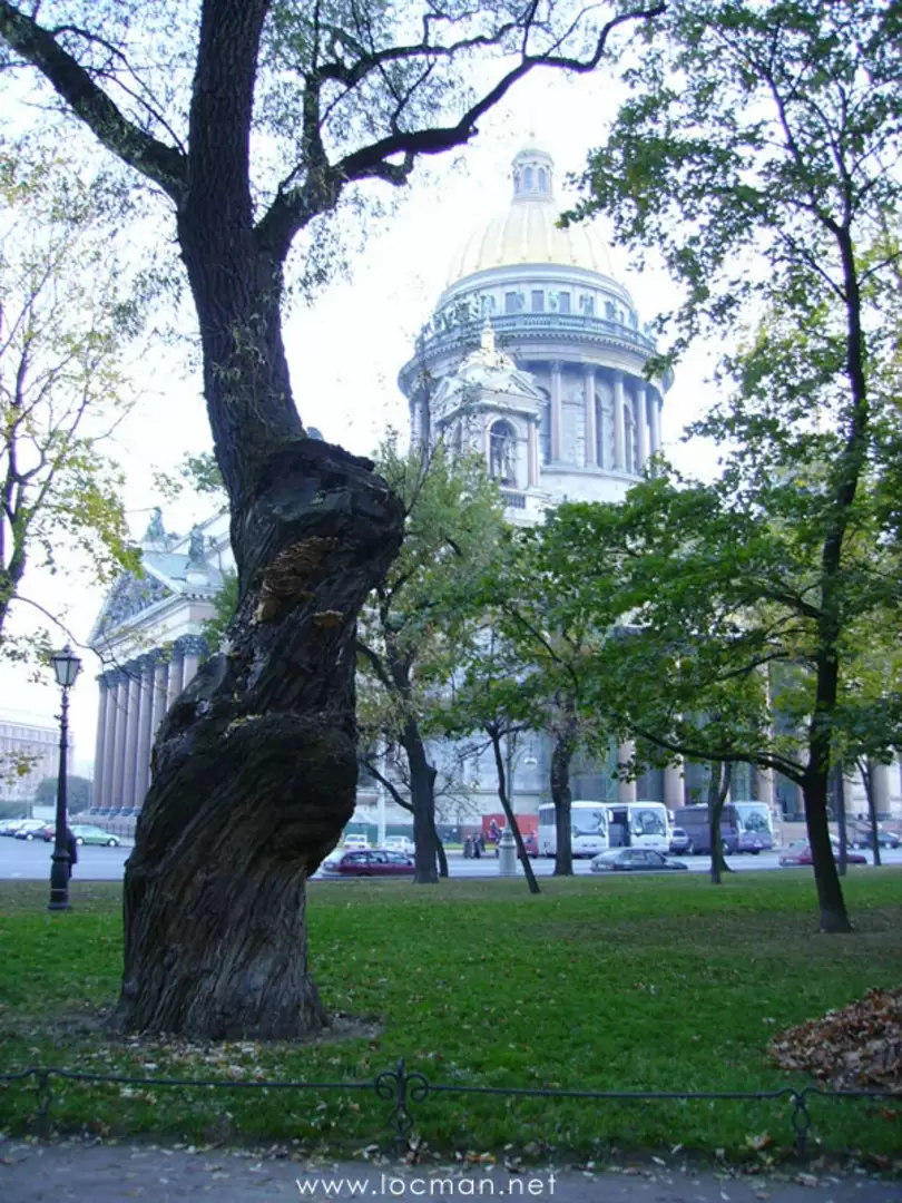 Александровский сад, фотография Александровский сад, фотография