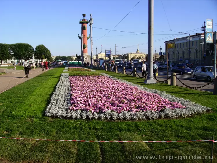 Санкт-Петербург, Биржевая площадь