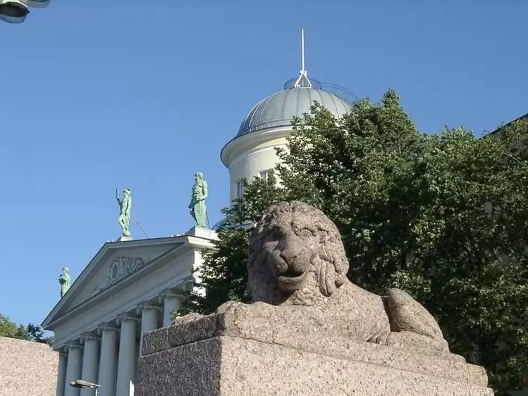 Львы на набережной Макарова Львы на набережной Макарова, фото 4