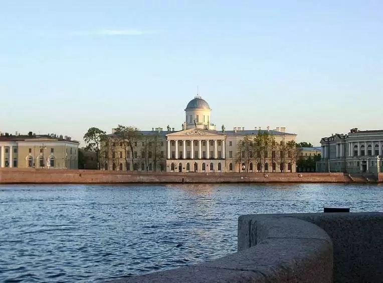 Стрелка Васильевского острова, Таможня