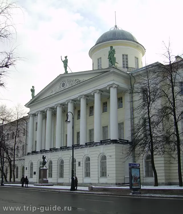 Стрелка Васильевского острова, Таможня