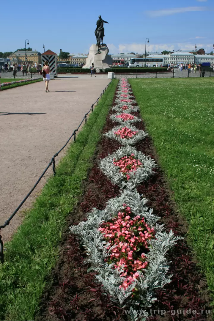 Сенатская площадь в Санкт-Петербурге Сенатская площадь в Санкт-Петербурге