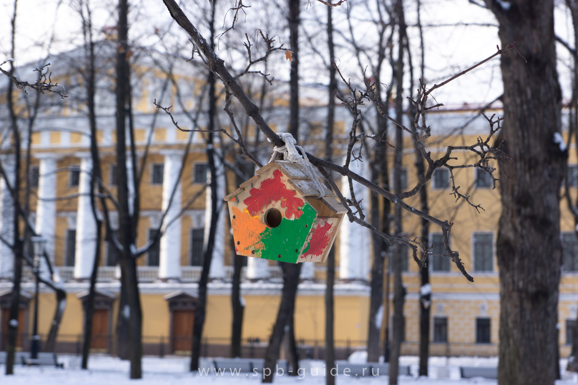 Кормушка для птиц в Александровском саду