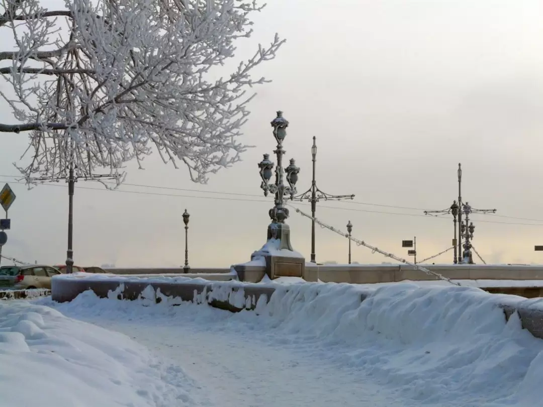 Троицкий мост зимой