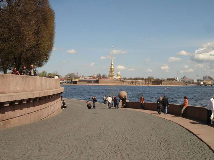 Река Нева коричневая