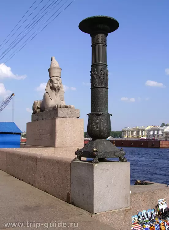 Сфинксы в Санкт-Петербурге, фото Сфинксы в Санкт-Петербурге, фото