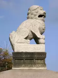 Ши-цза
