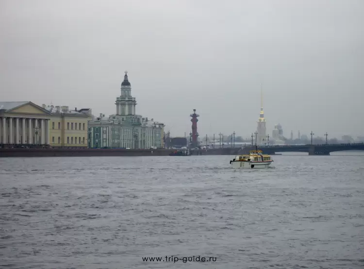 Вид на Кунсткамеру и Петропавловскую крепость Вид на Кунсткамеру и Петропавловскую крепость