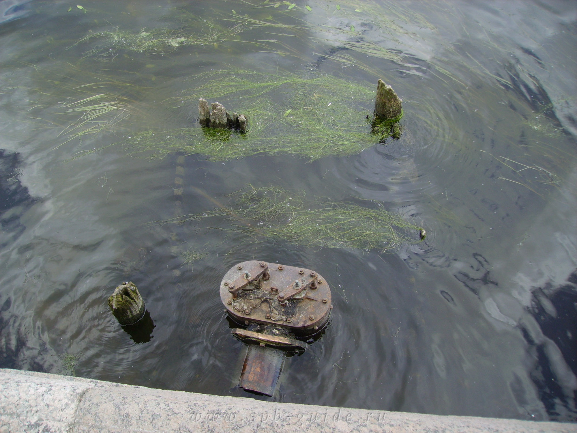 Фонтанка, загадочная металлическая конструкция в воде Фонтанка, загадочная металлическая конструкция в воде