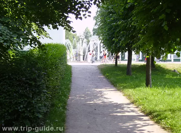Аллеи Петродворца Аллеи Петродворца