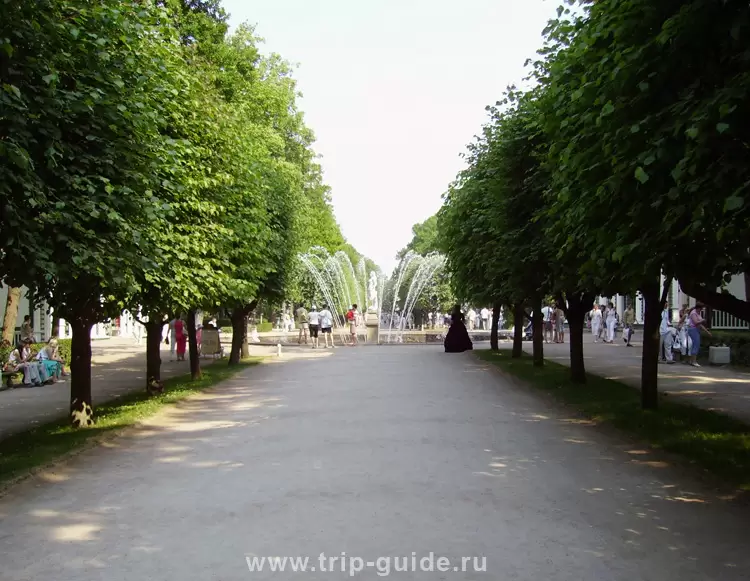 Аллея Аллея