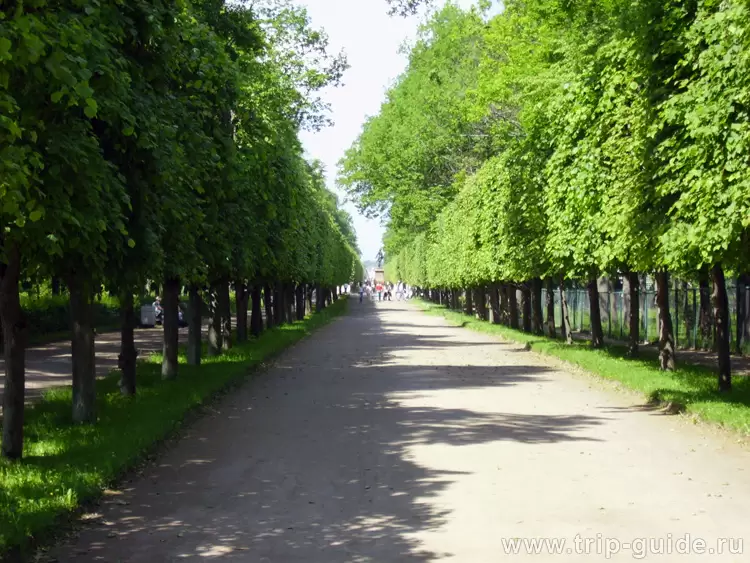 Петергоф, Нижний парк Петергоф, Нижний парк