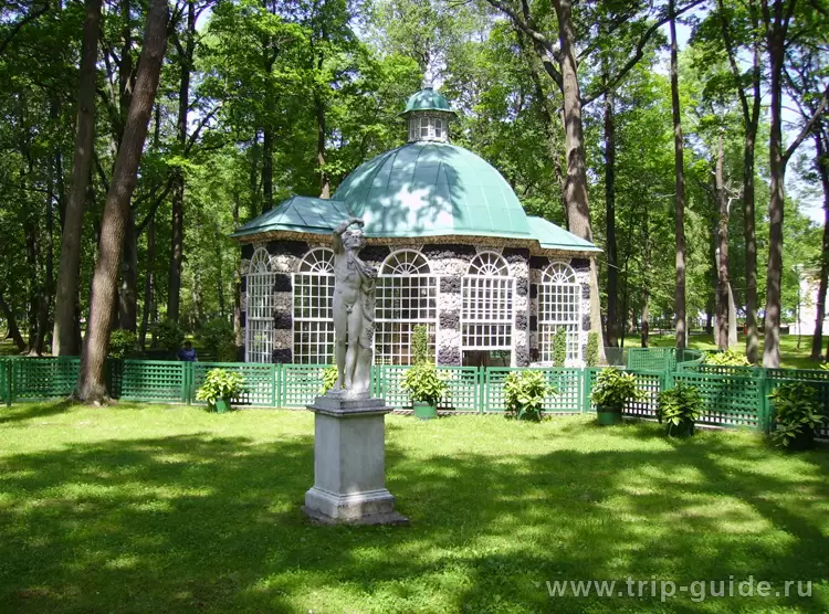Петергоф, Оранжерея Петергоф, Оранжерея