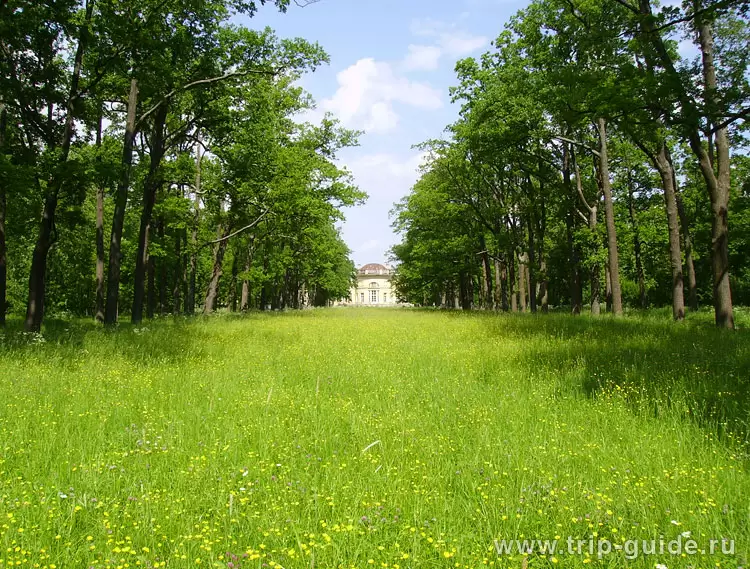 Александровский дворец