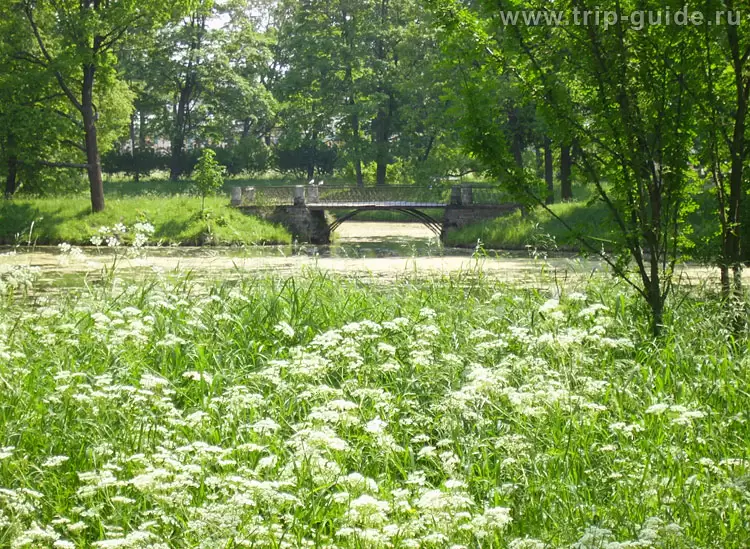 Александровский парк в Царском селе, фото Александровский парк в Царском селе, фото