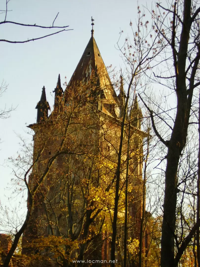 Царское Село, Шапель Царское Село, Шапель
