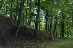 Гора Парнас