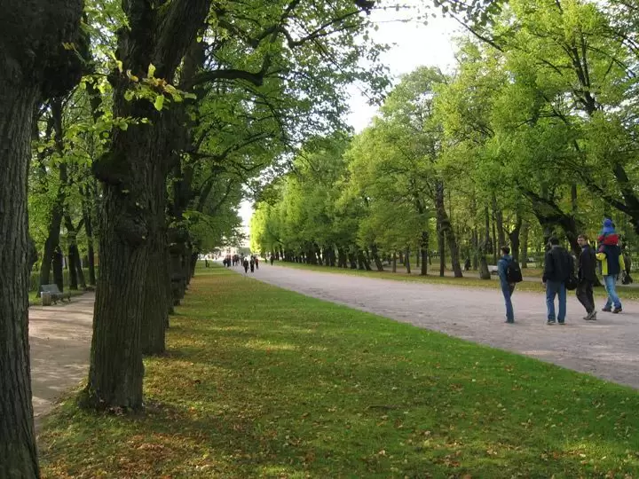 Павловск, Тройная липовая аллея Павловск, Тройная липовая аллея