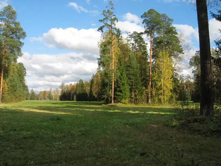 Санкт-Петербург, Павловск Санкт-Петербург, Павловск
