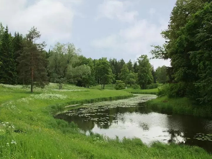Санкт-Петербург, Павловск Санкт-Петербург, Павловск