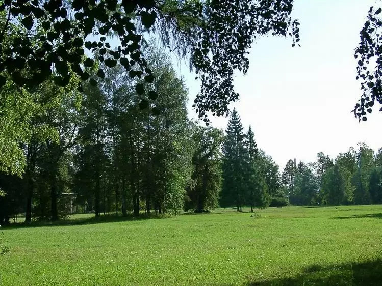 Павловский парк Павловский парк