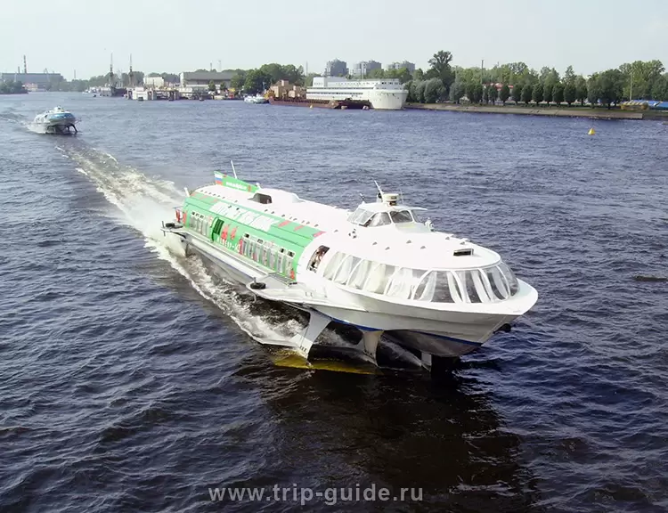 Метеор до Петергофа