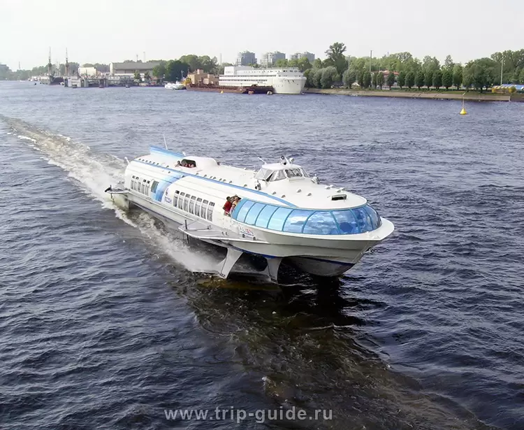 Метеор до Петергофа