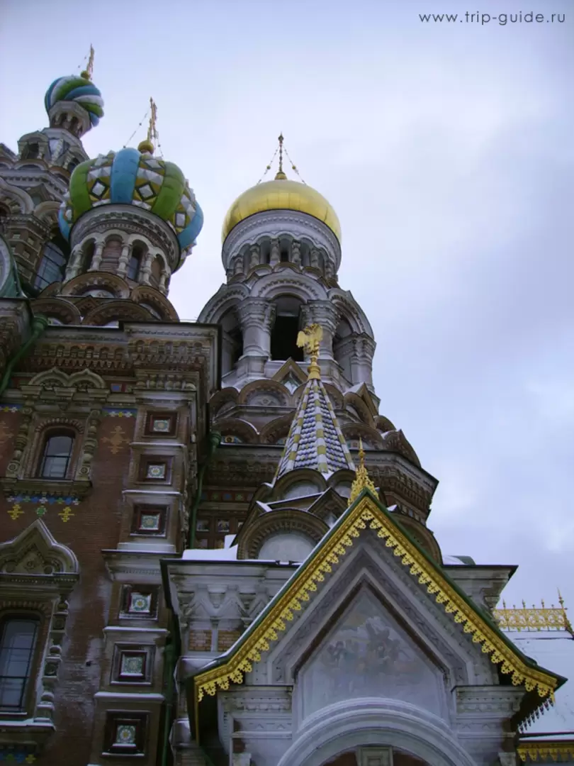 Спас-на-крови, купола