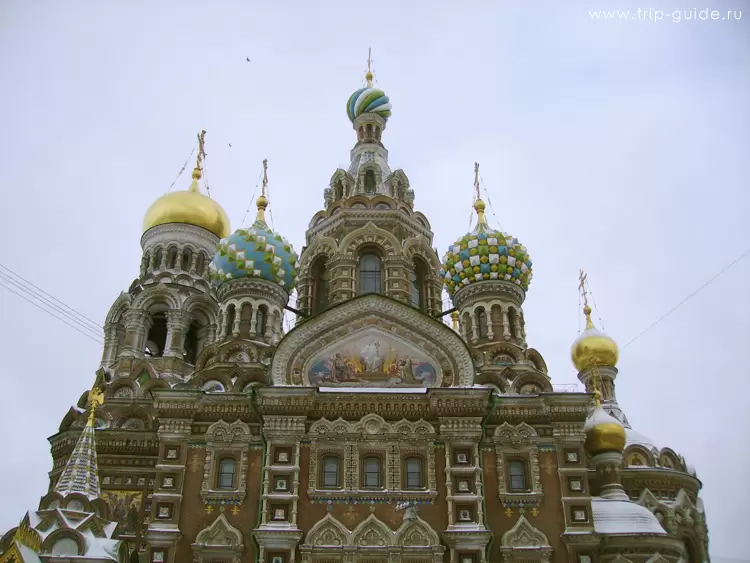 Спас-на-крови, купола
