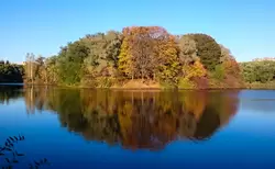 Золотая осень