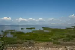 Канонерский остров