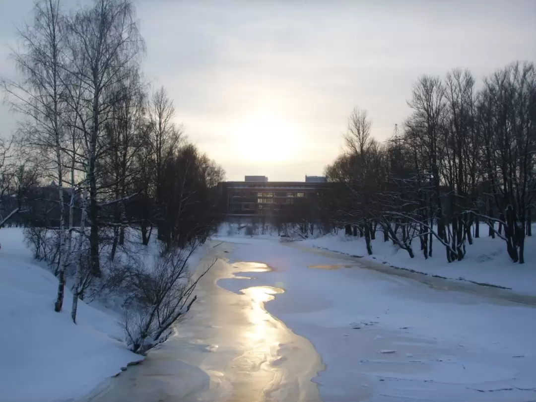река Большая Охта