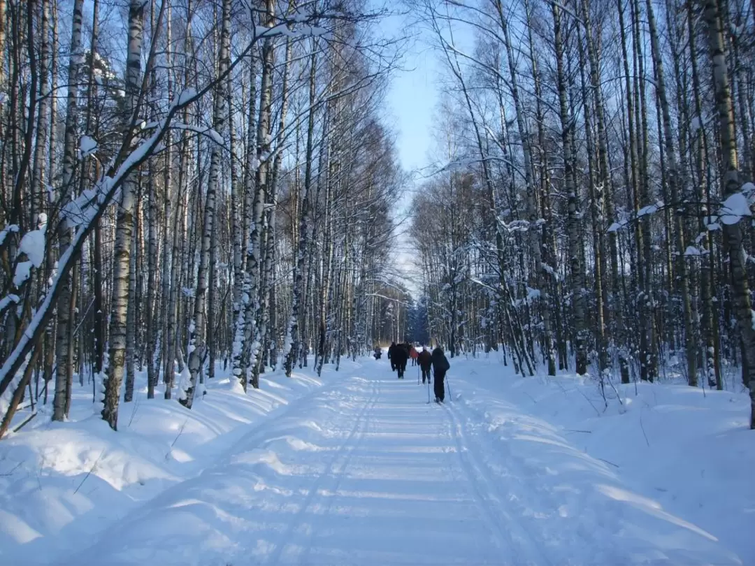Охтинский лесопарк