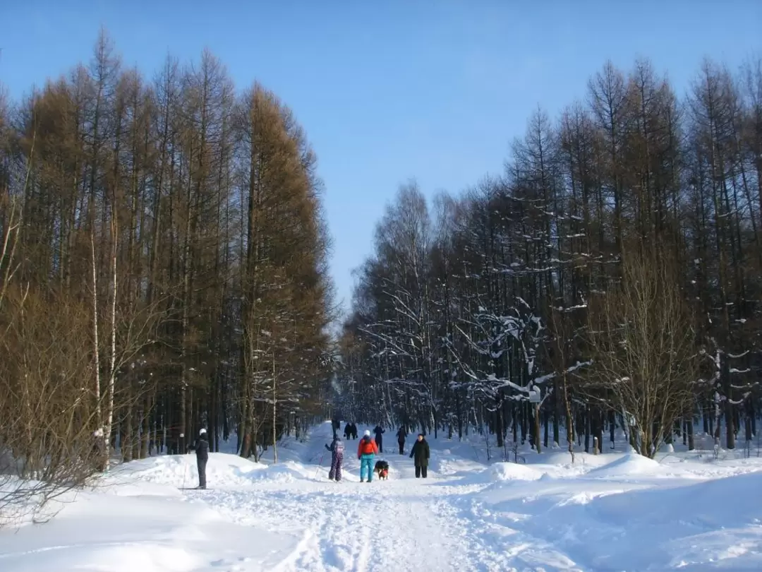 Охтинский лесопарк