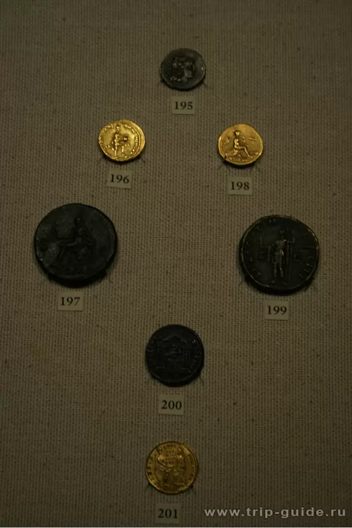 Выставка монет в Эрмитаже, зима 2008 г. Выставка монет в Эрмитаже, зима 2008 г.