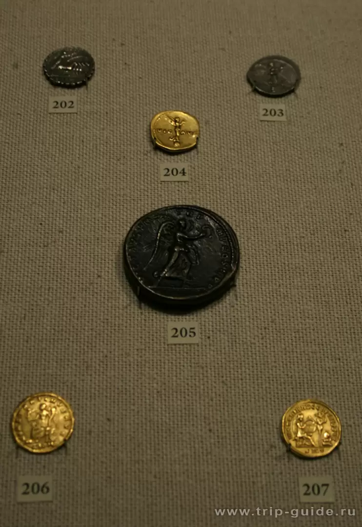 Выставка монет в Эрмитаже, зима 2008 г. Выставка монет в Эрмитаже, зима 2008 г.