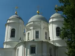 Купола Князь-Владимирского собора