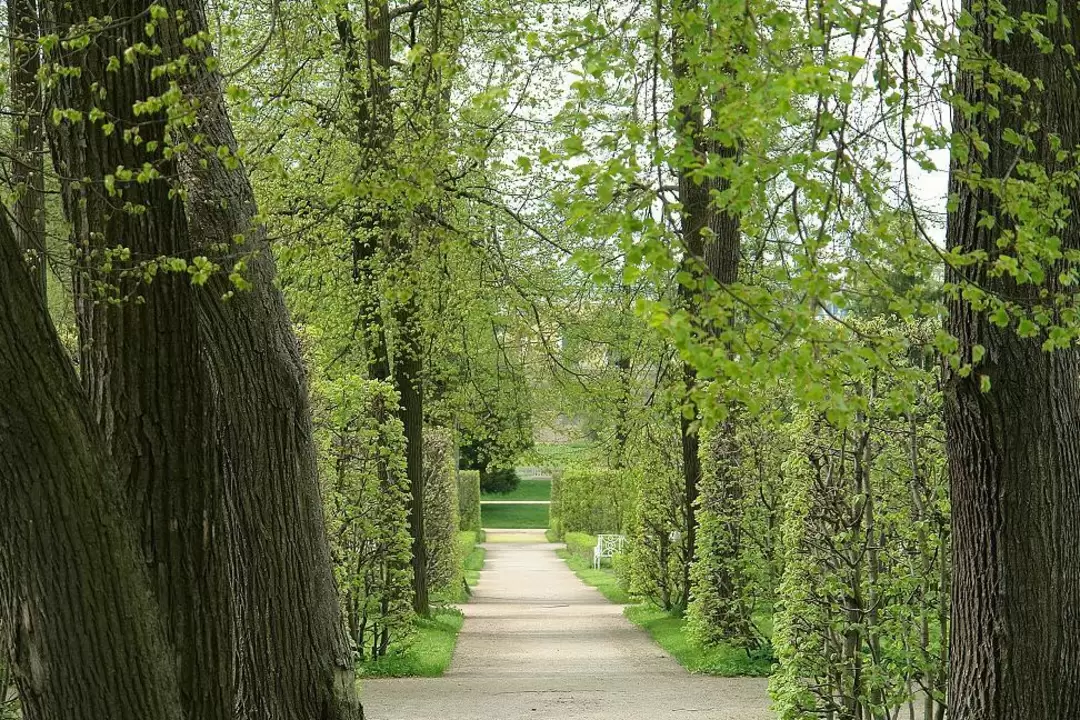 В парке В парке