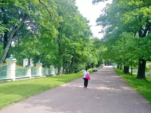 Аллея Аллея