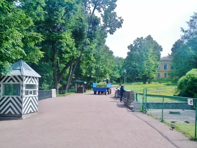 Аллея Аллея