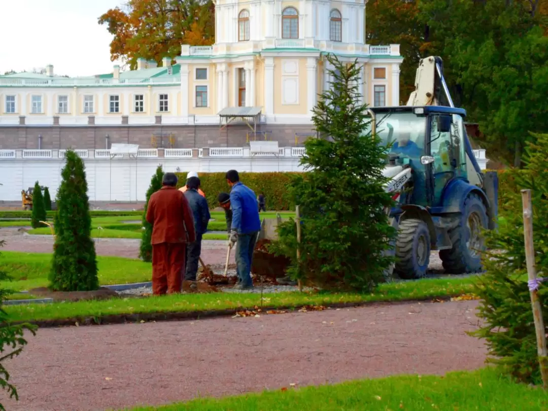 Ораниенбаум. Нижний парк. Садово-парковые работы Ораниенбаум. Нижний парк. Садово-парковые работы