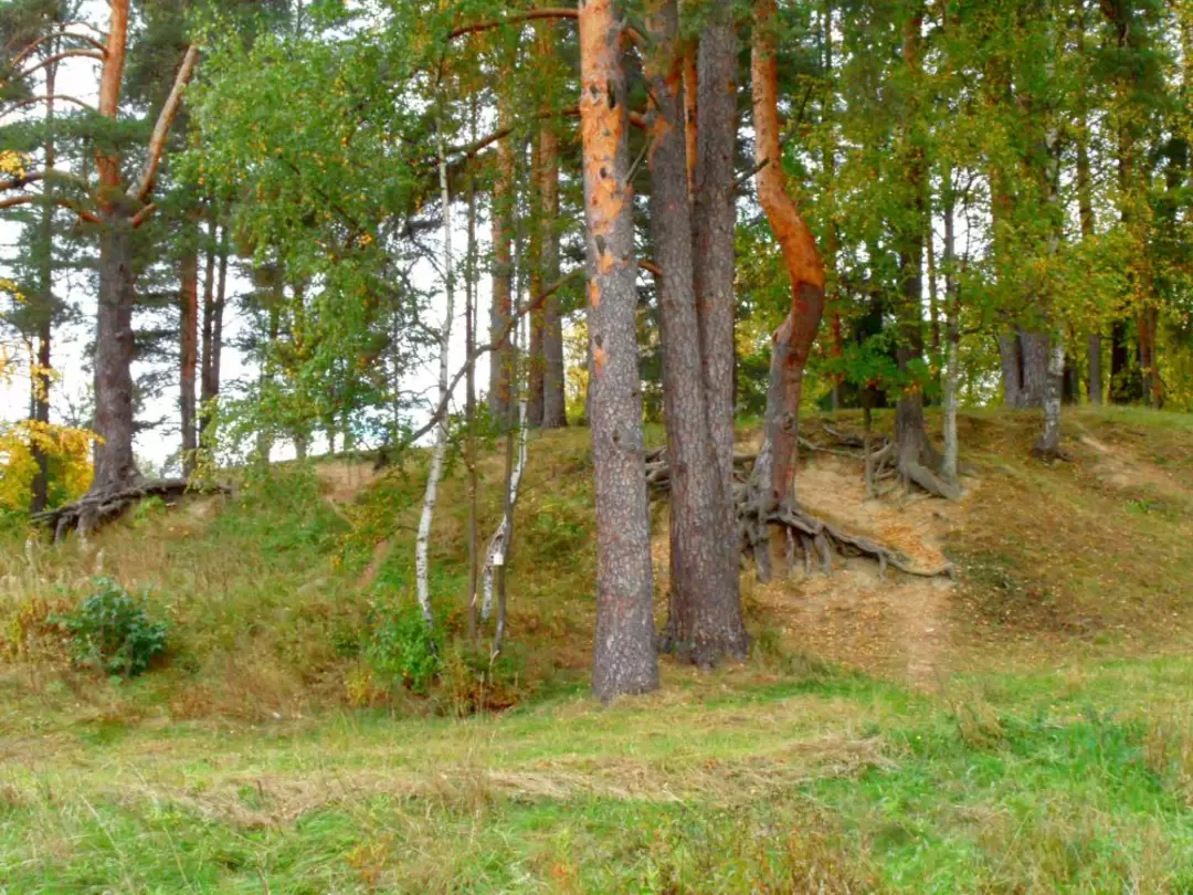Ораниенбаум. Парк Швейцария Ораниенбаум. Парк Швейцария