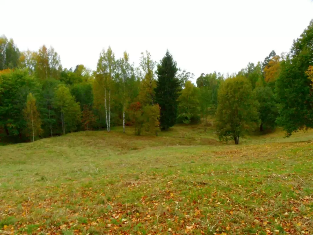 Ораниенбаум. Парк Швейцария Ораниенбаум. Парк Швейцария