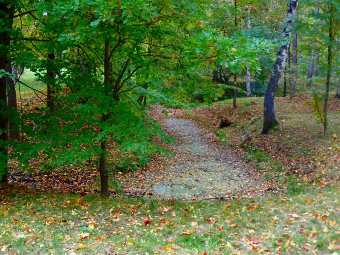 Ораниенбаум. Парк Швейцария. Тропинка к Дворцу Петра III Ораниенбаум. Парк Швейцария. Тропинка к Дворцу Петра III