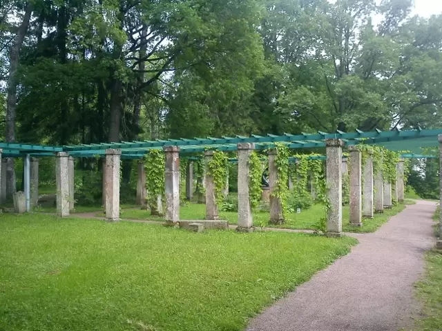 Пергола Пергола