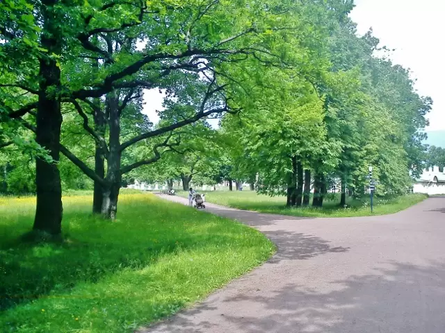 Верхний парк Верхний парк