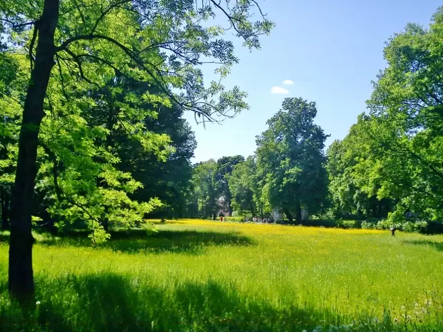 Верхний парк Верхний парк